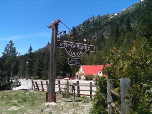 Strawberry Lodge Upper Forni Exterior foto